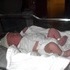 Cailin Faith is born!